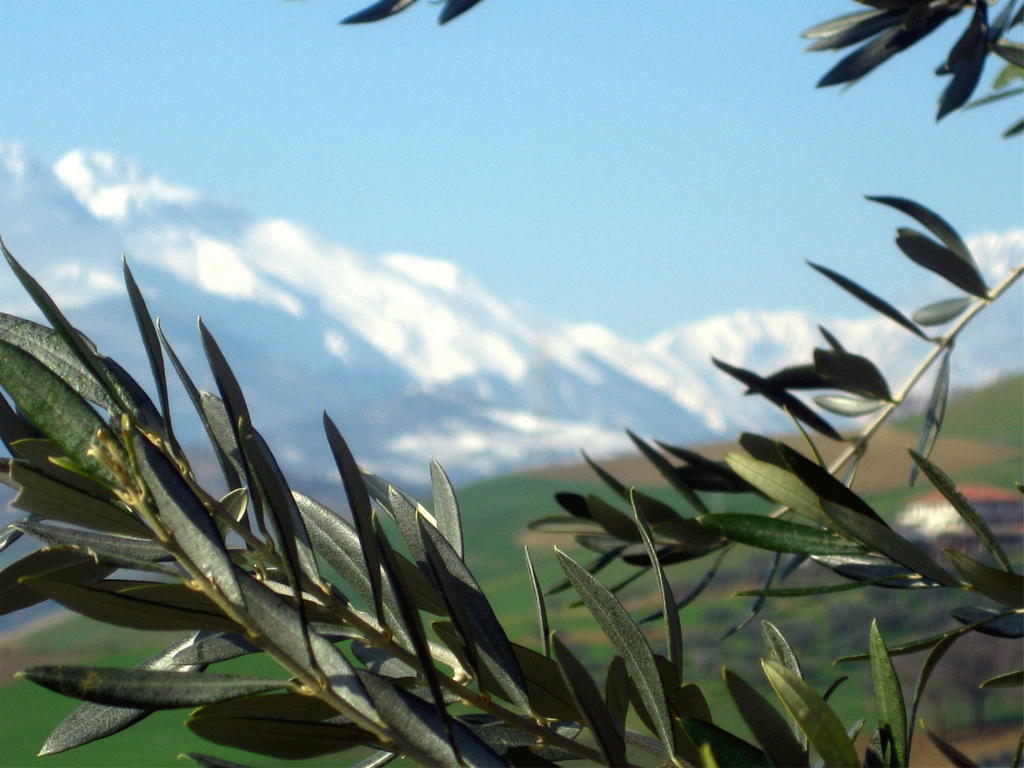 Agriturismo Cignale Penne Екстериор снимка