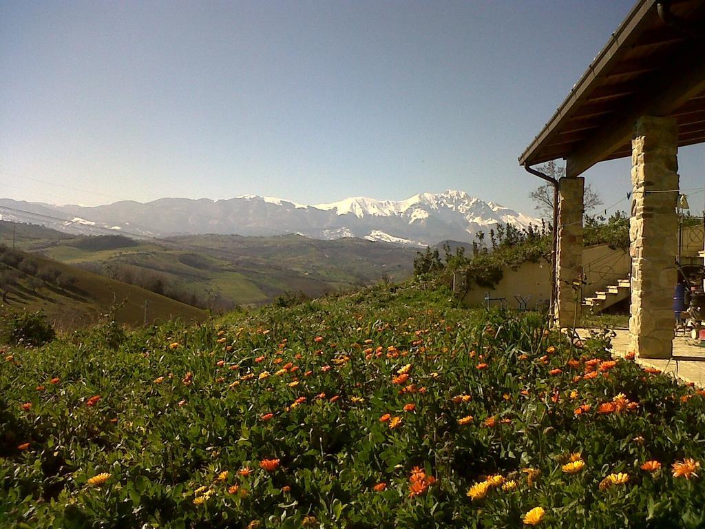 Agriturismo Cignale Penne Екстериор снимка