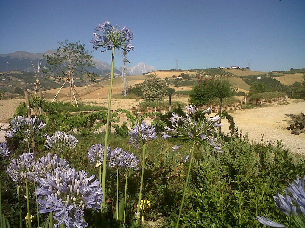 Agriturismo Cignale Penne Екстериор снимка