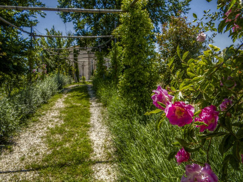 Agriturismo Cignale Penne Екстериор снимка
