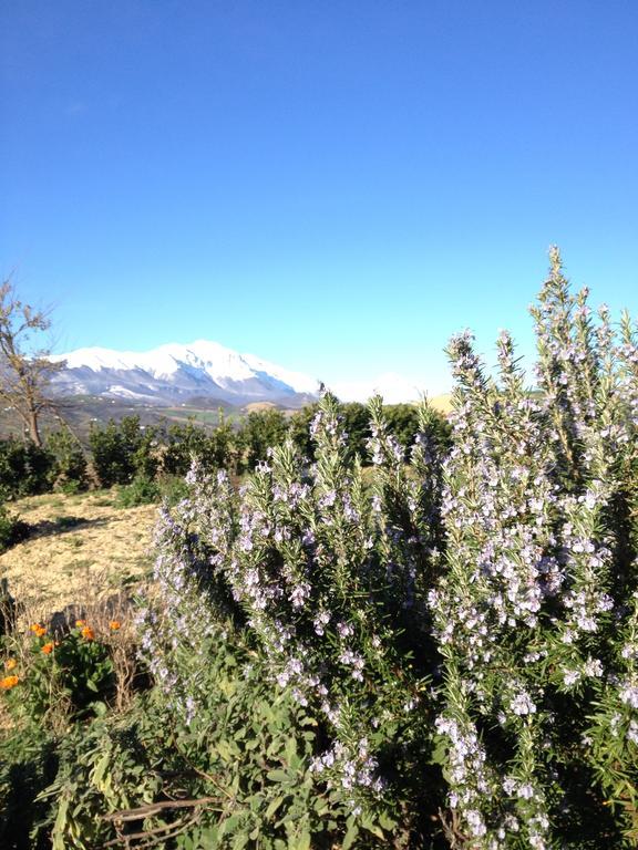 Agriturismo Cignale Penne Екстериор снимка