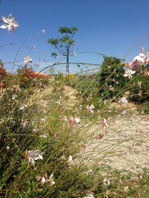 Agriturismo Cignale Penne Екстериор снимка