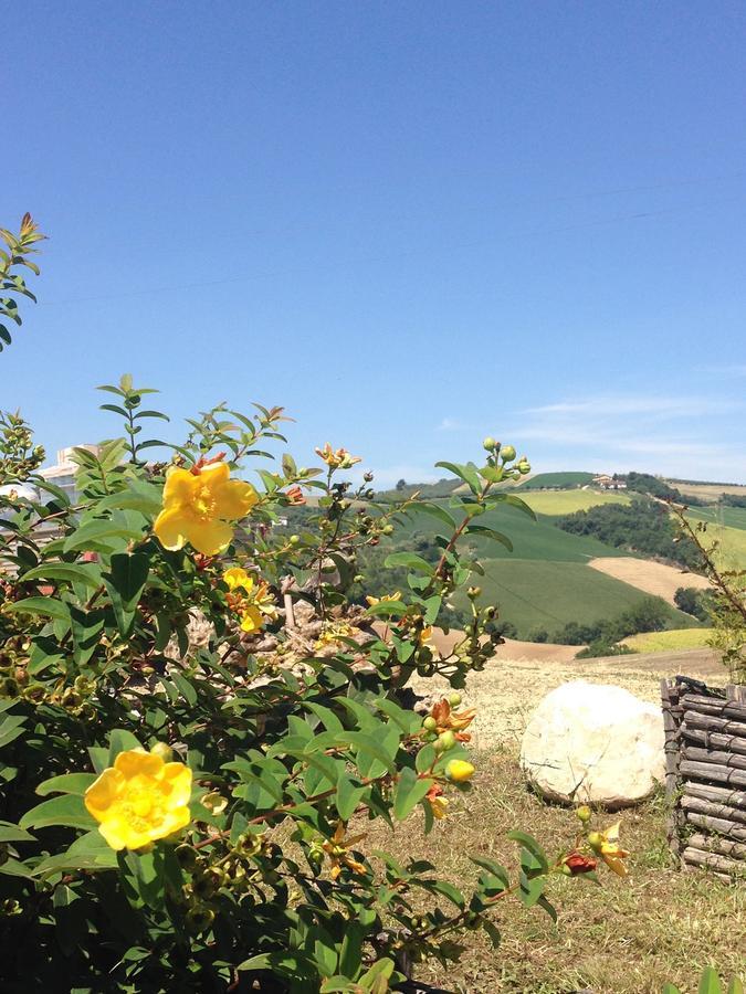 Agriturismo Cignale Penne Екстериор снимка