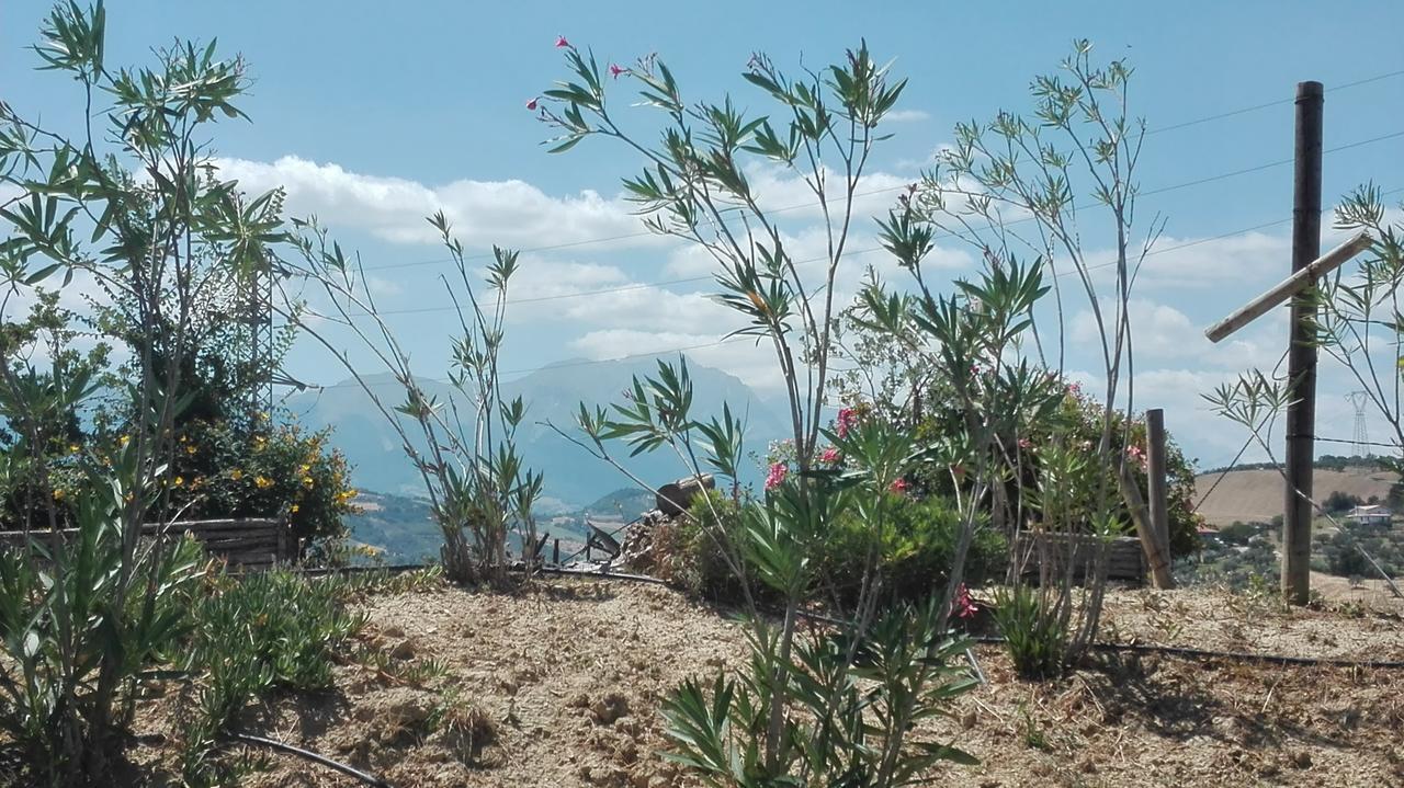 Agriturismo Cignale Penne Екстериор снимка