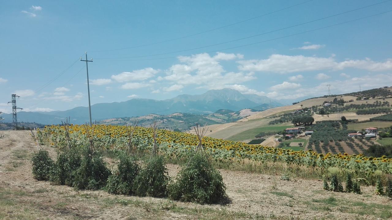 Agriturismo Cignale Penne Екстериор снимка
