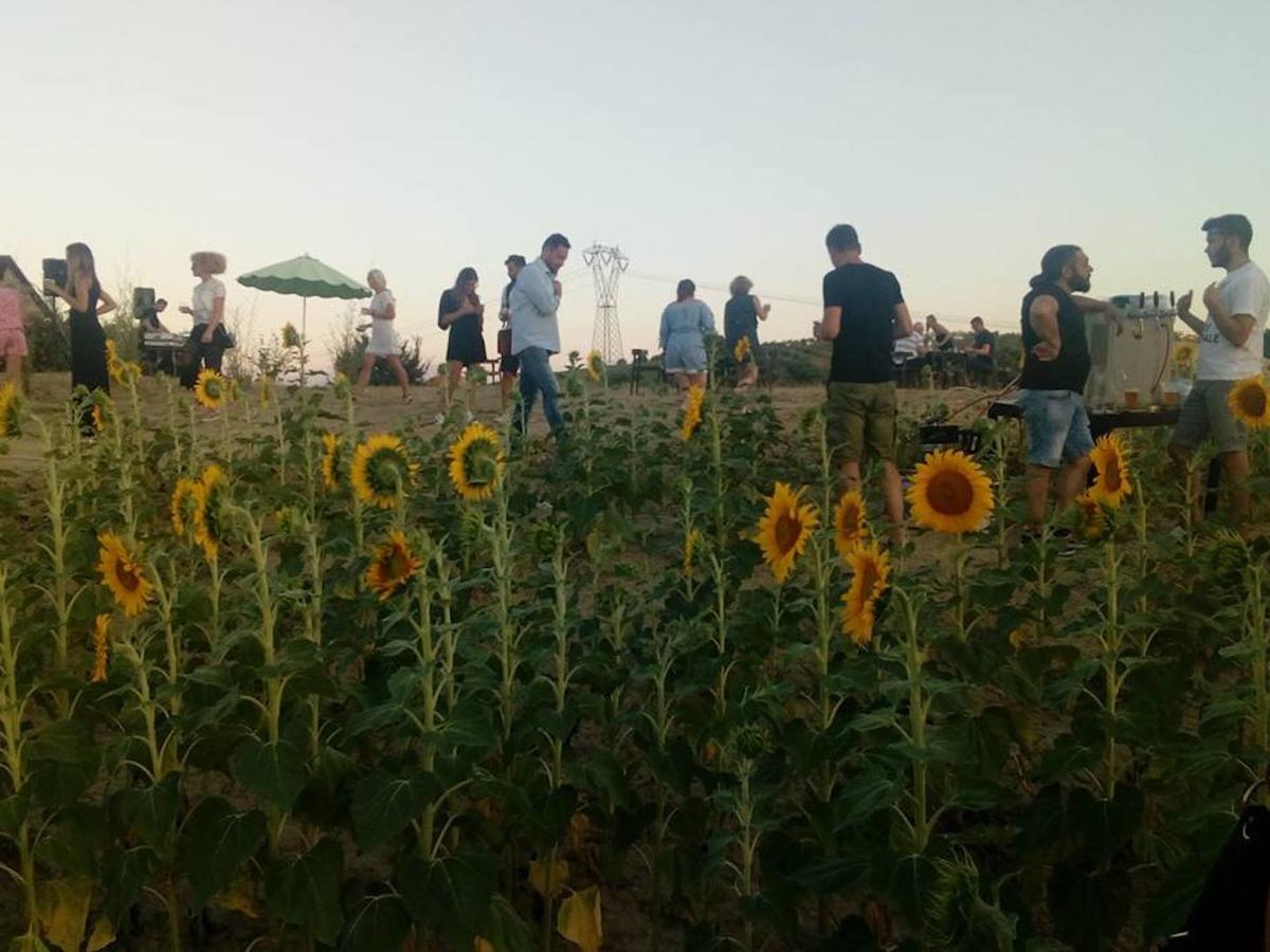 Agriturismo Cignale Penne Екстериор снимка